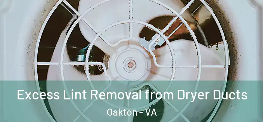  Excess Lint Removal from Dryer Ducts Oakton - VA