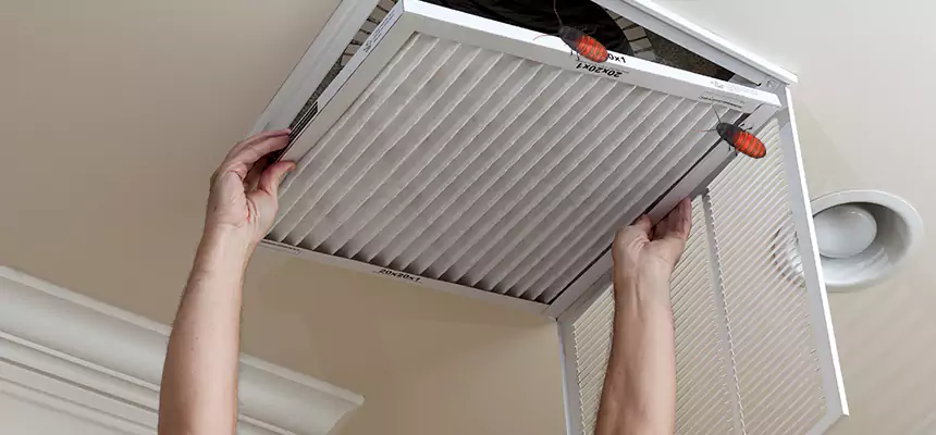 Our Insect Removal from Air Ducts Services in Oakton, VA