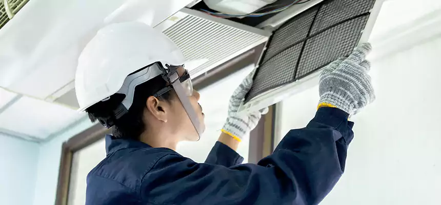 Our Mold & Mildew Removal from Air Ducts Services in Oakton, VA