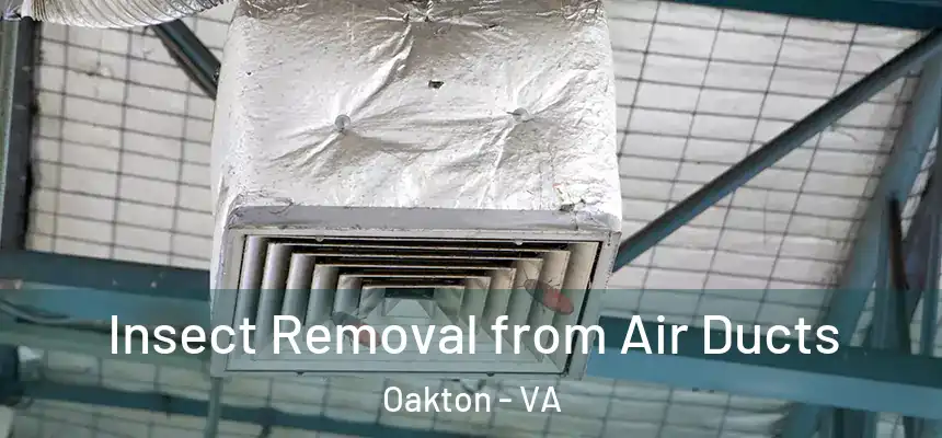Insect Removal from Air Ducts Oakton - VA