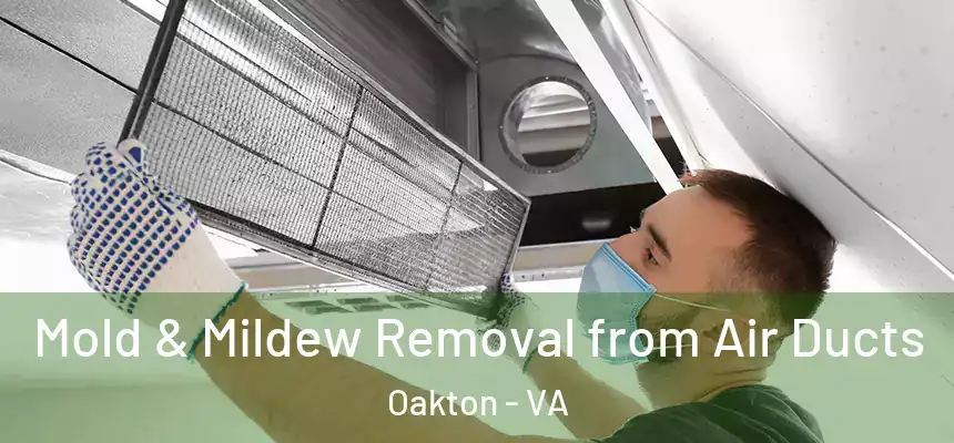 Mold & Mildew Removal from Air Ducts Oakton - VA