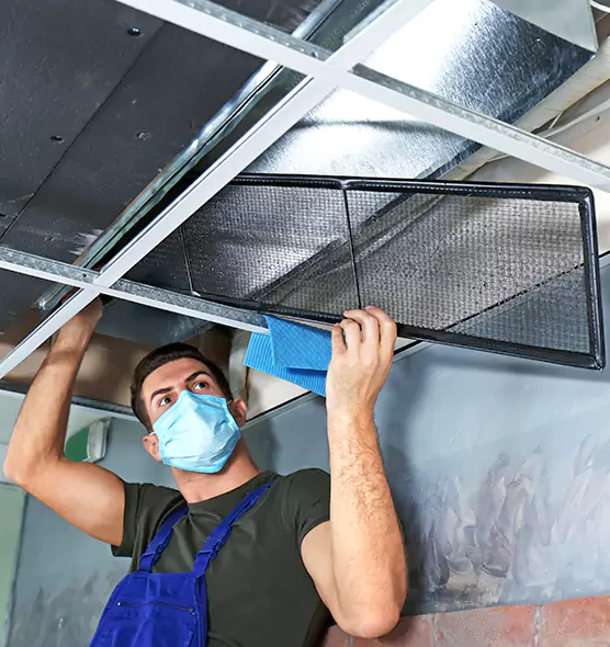 About Air Duct Bacteria Removal in Oakton