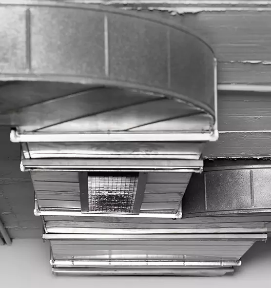 Professional Air Duct Pet Hair Removal in Oakton, VA