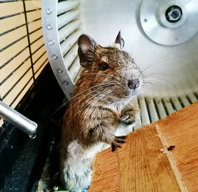 Why Homeowners & Businesses Trust Us Oakton, VA?